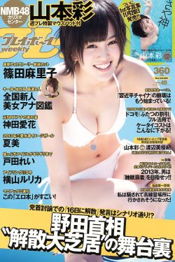 新居之约电视剧免费观看
